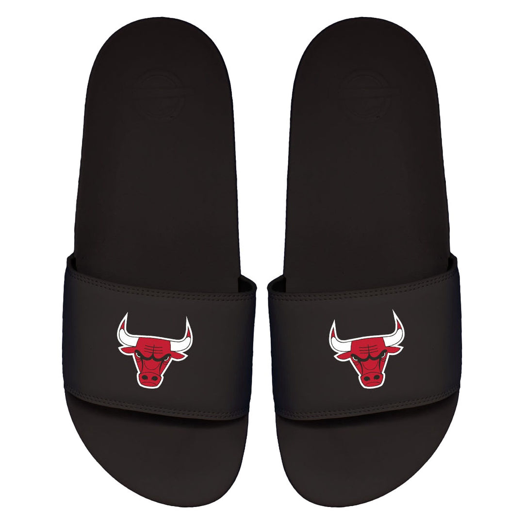 iSlide - NBA Slides - The Motto - Chicago Bulls - Primary Logo