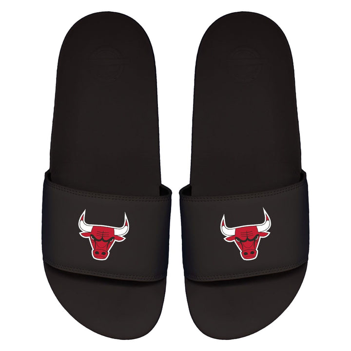 iSlide - NBA Slides - The Motto - Chicago Bulls - Primary Logo
