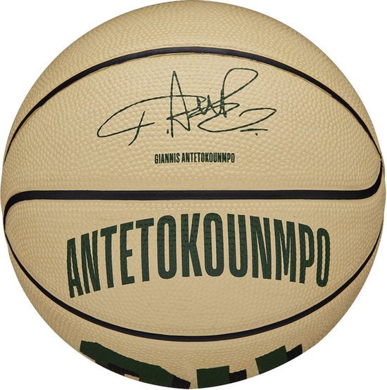 Wilson - Player Icon Mini Basketball - Giannis Antetokounmpo - Size 3
