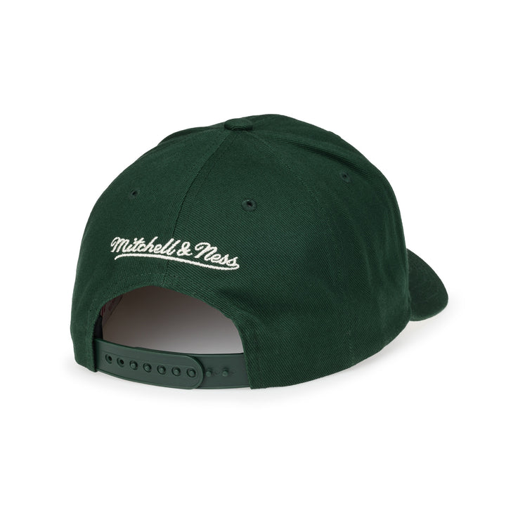 Mitchell &amp; Ness - NBA Green Cream Pro Crown - Chicago Bulls