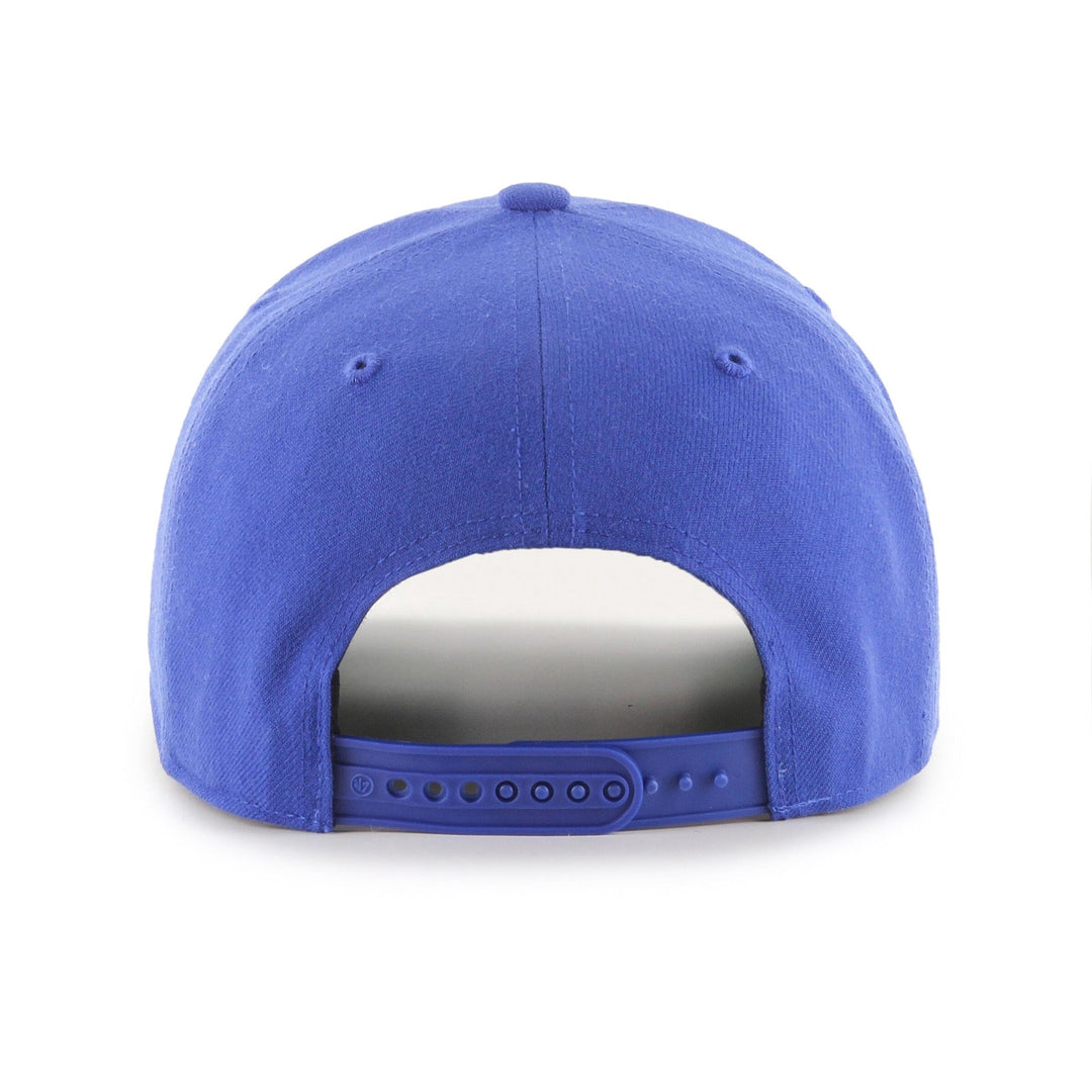 Los Angeles Dodgers MLB Cold Zone &