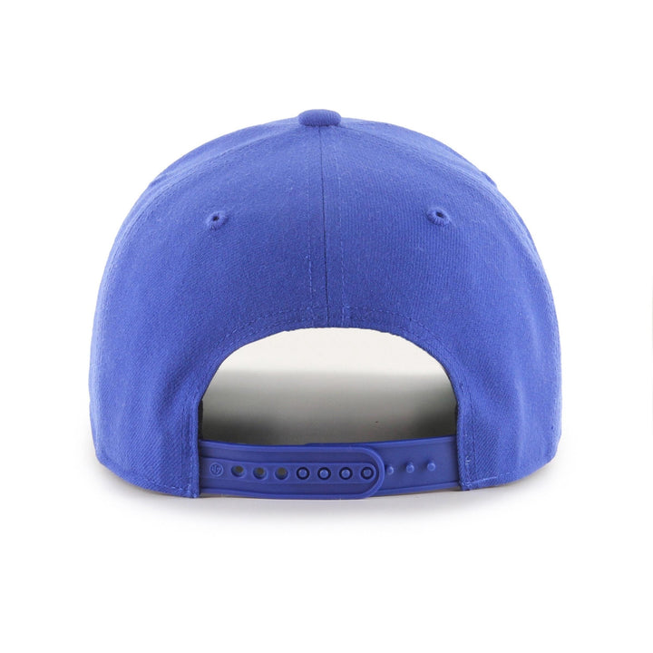 Los Angeles Dodgers MLB Cold Zone &
