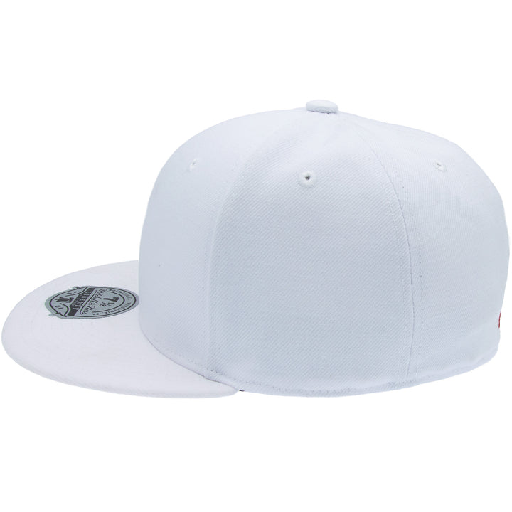 Blank Liberty Fitted Mitchell &amp; Ness White