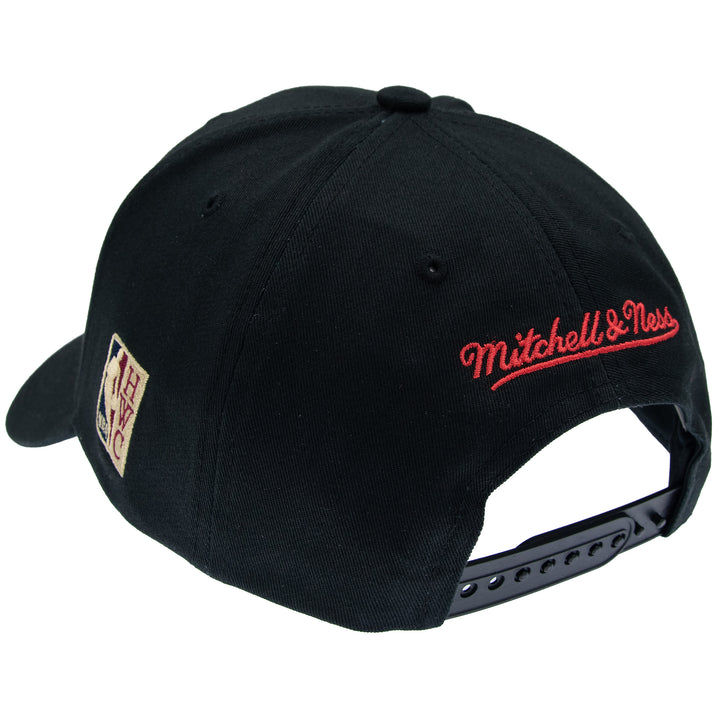 Toronto Raptors NBA Team Logo Low Pro Snapback Mitchell &amp; Ness Black