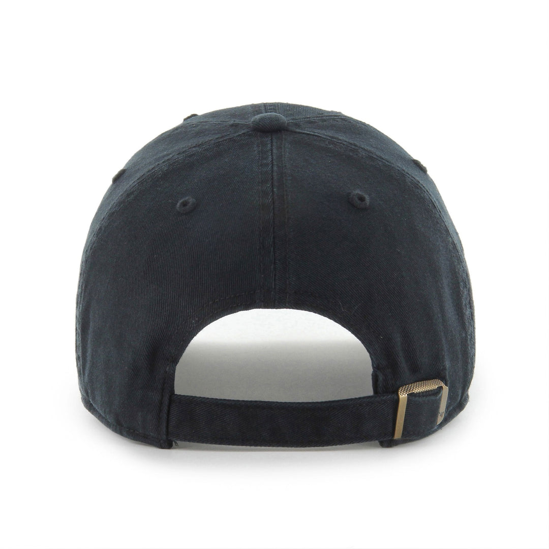 Anaheim Ducks NHL &