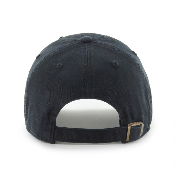 Anaheim Ducks NHL &