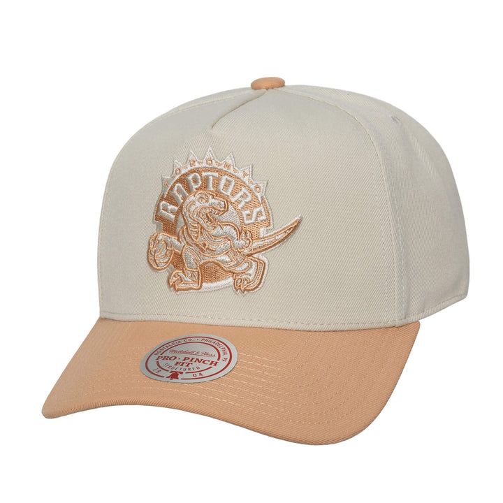 Toronto Raptors NBA Pro Pinch Snapback Mitchell &amp; Ness Chalk/Dust