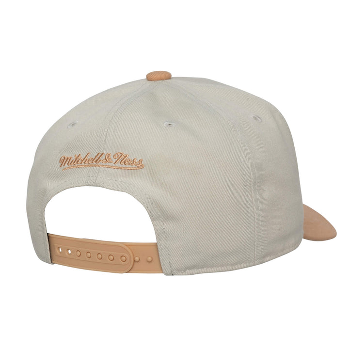 Toronto Raptors NBA Pro Pinch Snapback Mitchell &amp; Ness Chalk/Dust