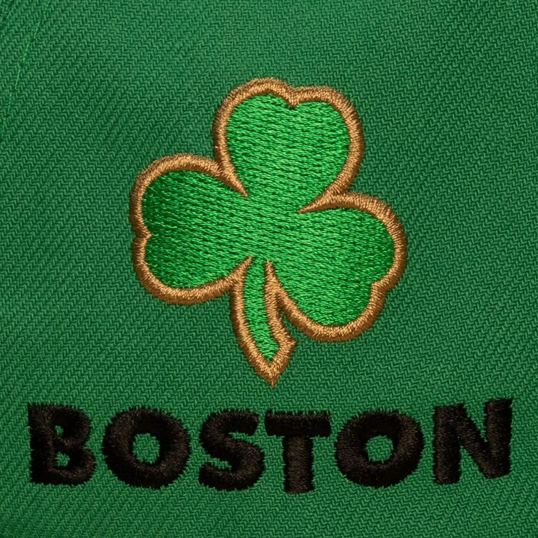 Boston Celtics NBA In the City Pro Snapback Mitchell &amp; Ness Green