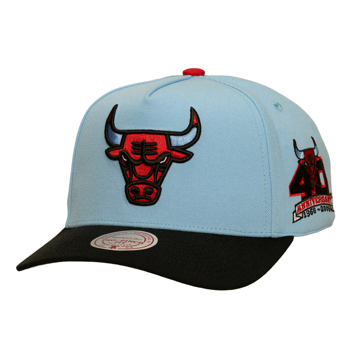 Chicago Bulls NBA In the City Pro Snapback Mitchell &amp; Ness Light Blue