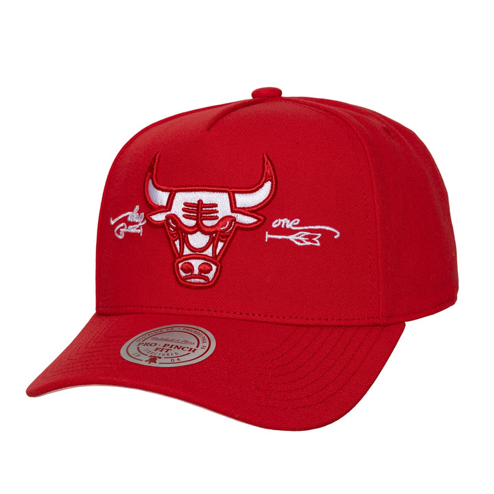 Chicago Bulls NBA Shot Through the Heart Pro Snapback Mitchell &amp; Ness