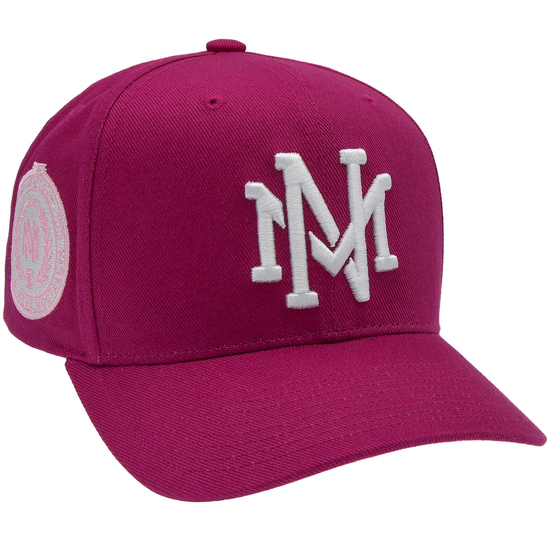 Branded Purple Pink Pro Crown Snapback Mitchell &amp; Ness