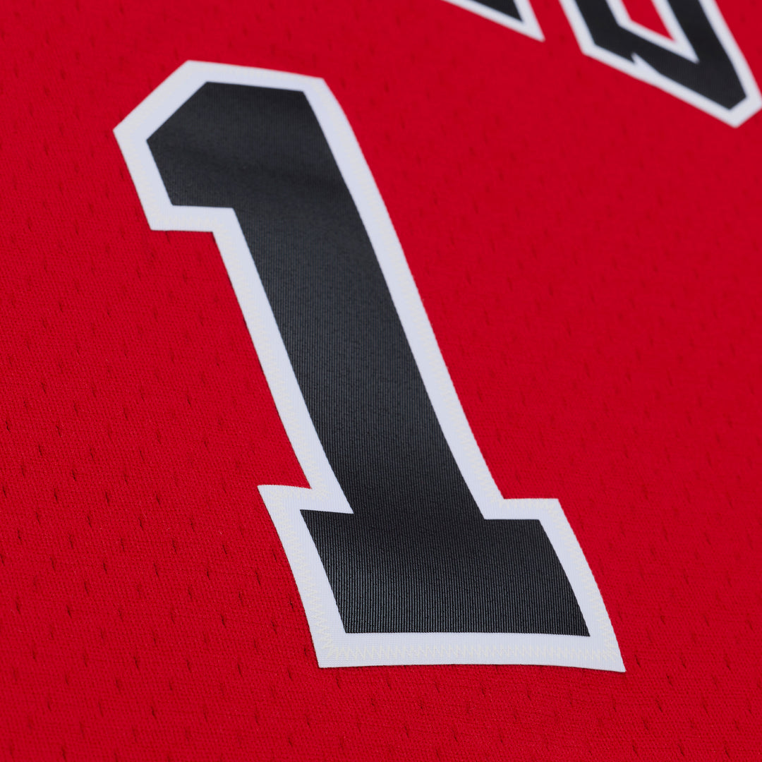 Derrick Rose Chicago Bulls 2008-09 NBA Swingman Jersey Mitchell &amp; Ness