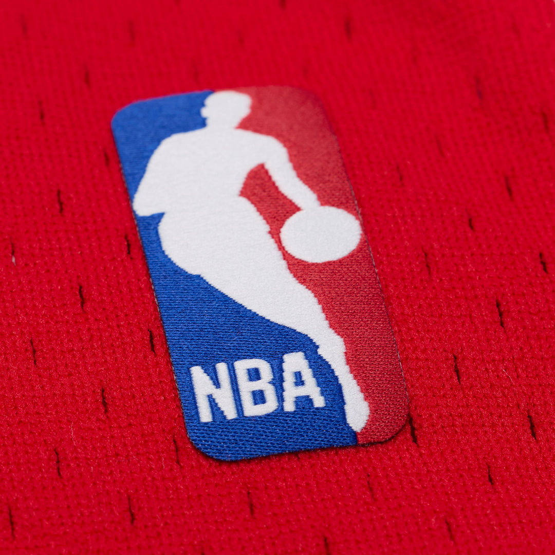 Derrick Rose Chicago Bulls 2008-09 NBA Swingman Jersey Mitchell &amp; Ness