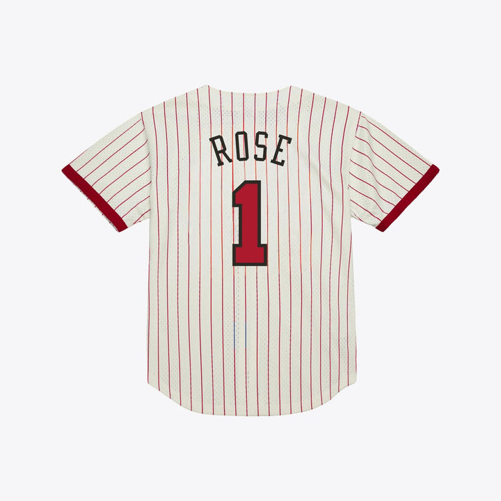 Derrick Rose Chicago Bulls Name &amp; Number Mesh Button-Up Jersey Mitchell &amp; Ness Cream