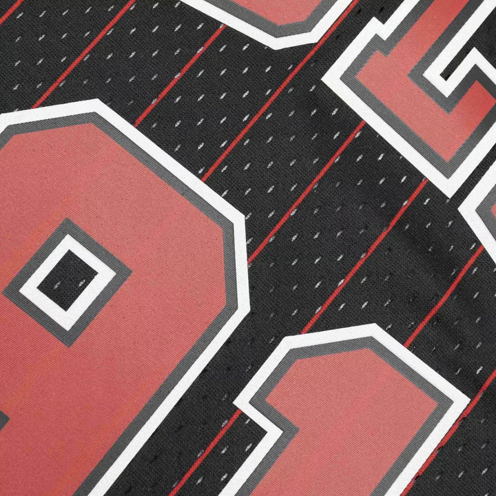 Dennis Rodman Chicago Bulls 1995-1996 Pinstripe NBA Swingman Jersey Mitchell &amp; Ness