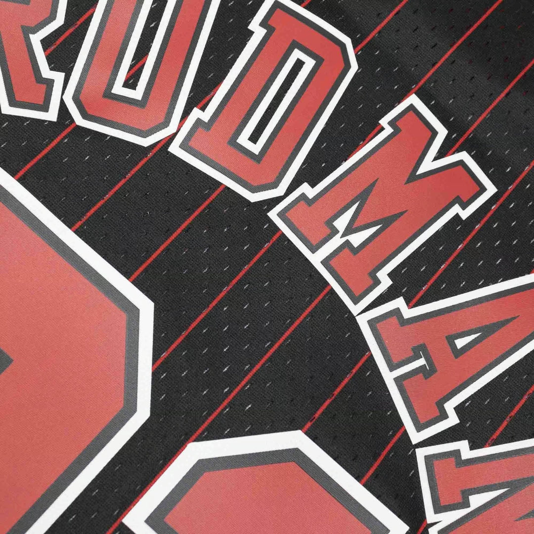 Dennis Rodman Chicago Bulls 1995-1996 Pinstripe NBA Swingman Jersey Mitchell &amp; Ness