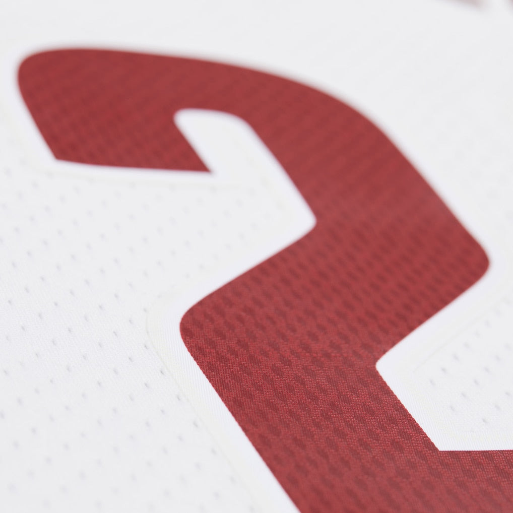 Lebron James Cleveland Cavaliers 2015-2016 NBA Swingman Jersey Mitchell &amp; Ness White