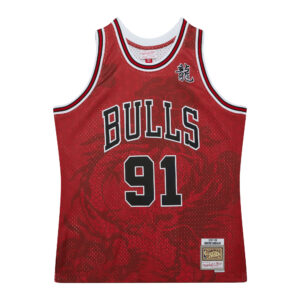 Dennis Rodman Chicago Bulls 1997-1998 NBA Asian Heritage 6.0 Fashion Swingman Jersey